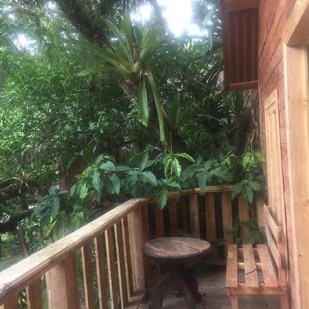 Villa Ecoturistica La Huerta De Xilitla Exteriör bild
