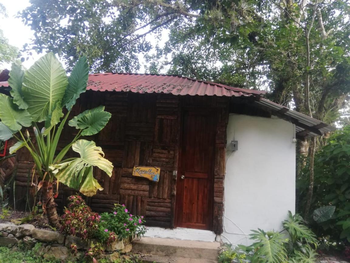 Villa Ecoturistica La Huerta De Xilitla Exteriör bild