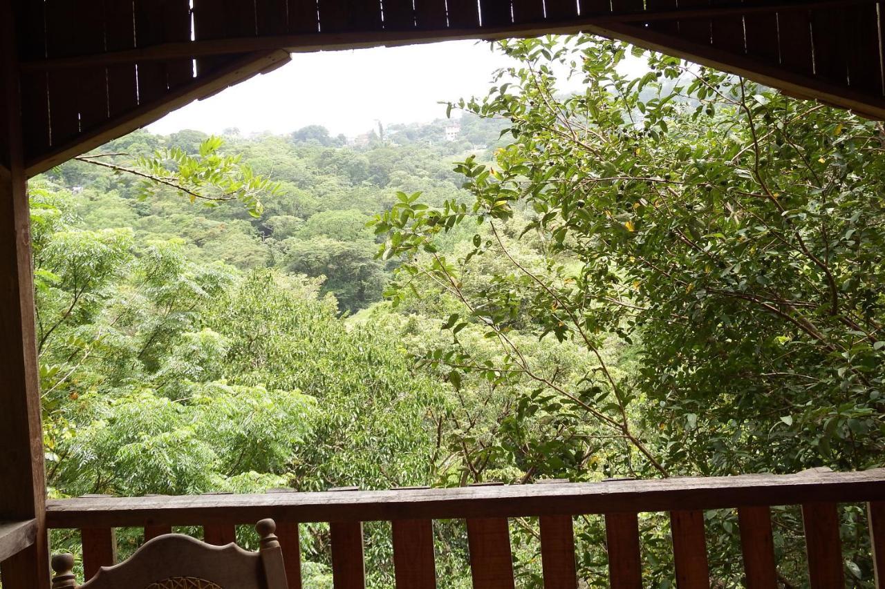 Villa Ecoturistica La Huerta De Xilitla Exteriör bild